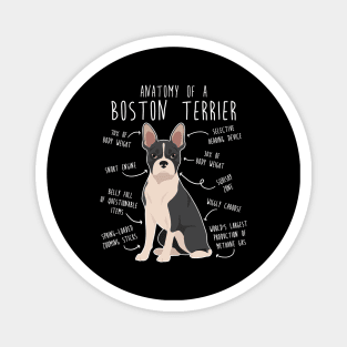 Boston Terrier Dog Anatomy Magnet